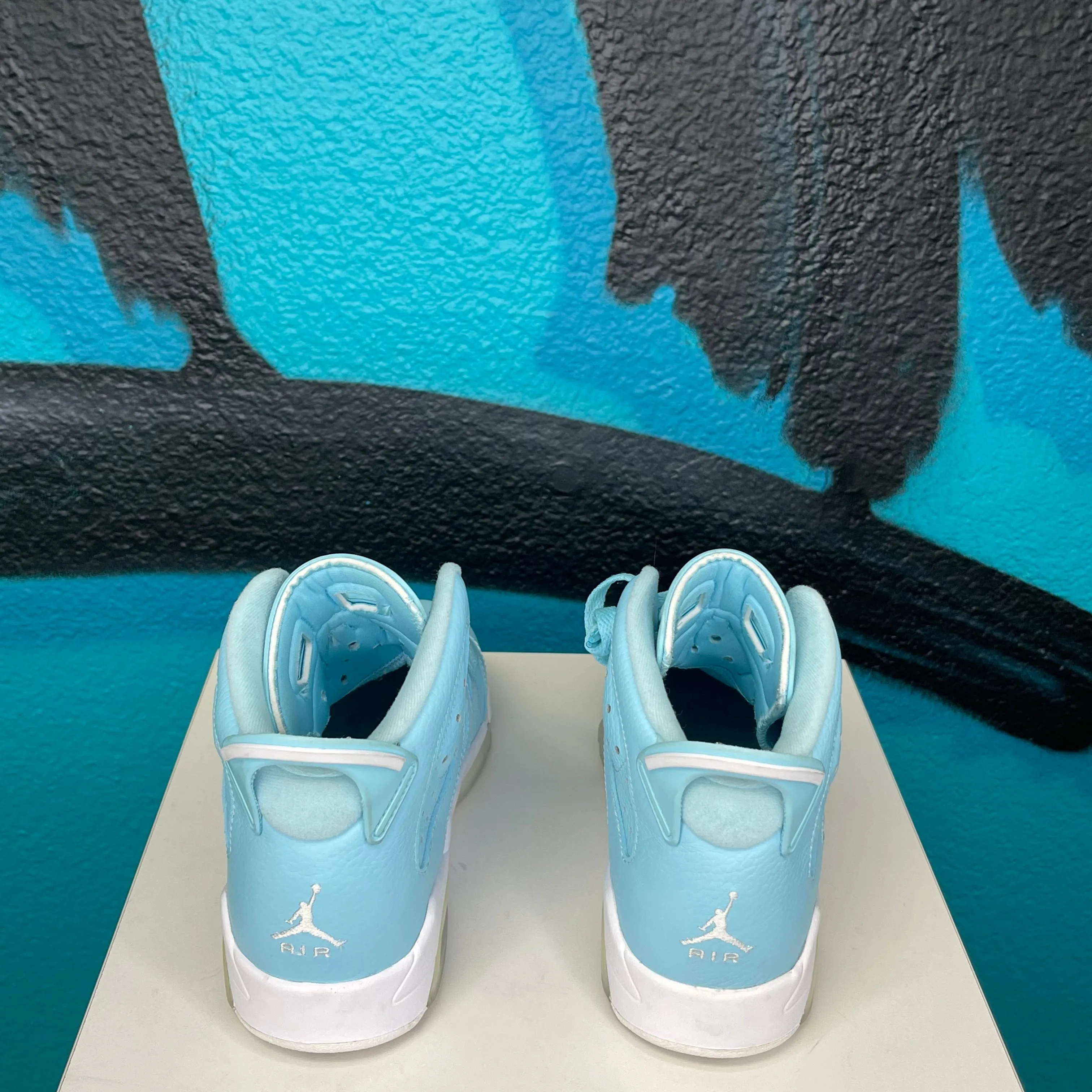 Air Jordan 6 Retro GG 'Pantone'
