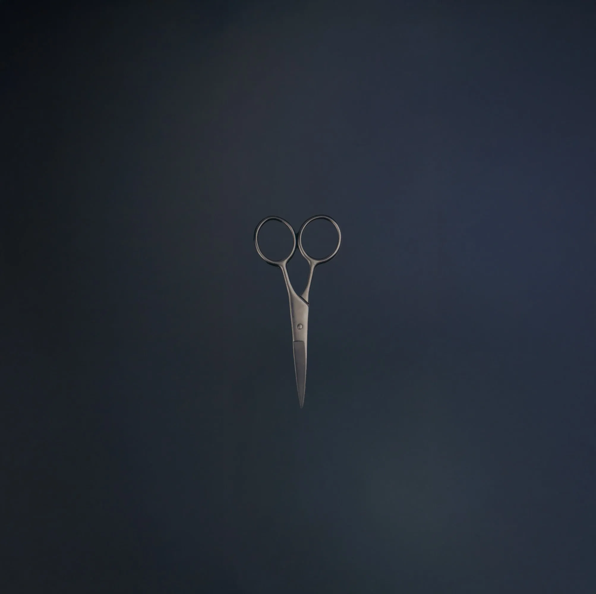 BEARD CARE | STRAY SCISSORS