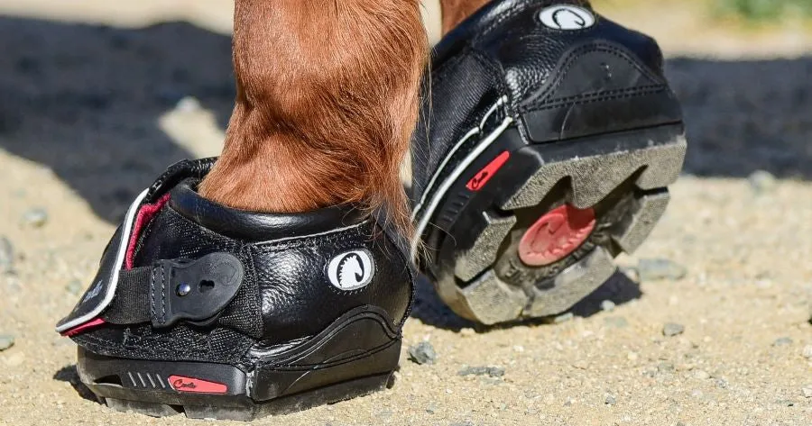 Cavallo Sport Hoof Boots
