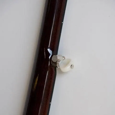 Deering Eagle II Openback 5-String Banjo