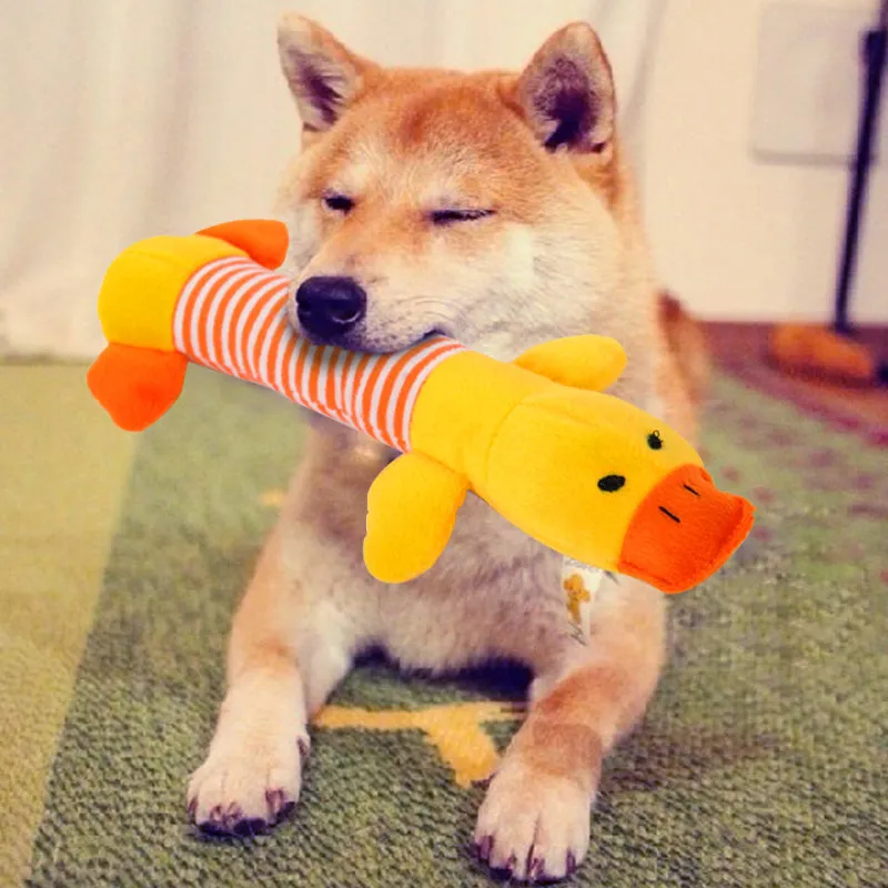 Dog Plush Squeak Toy