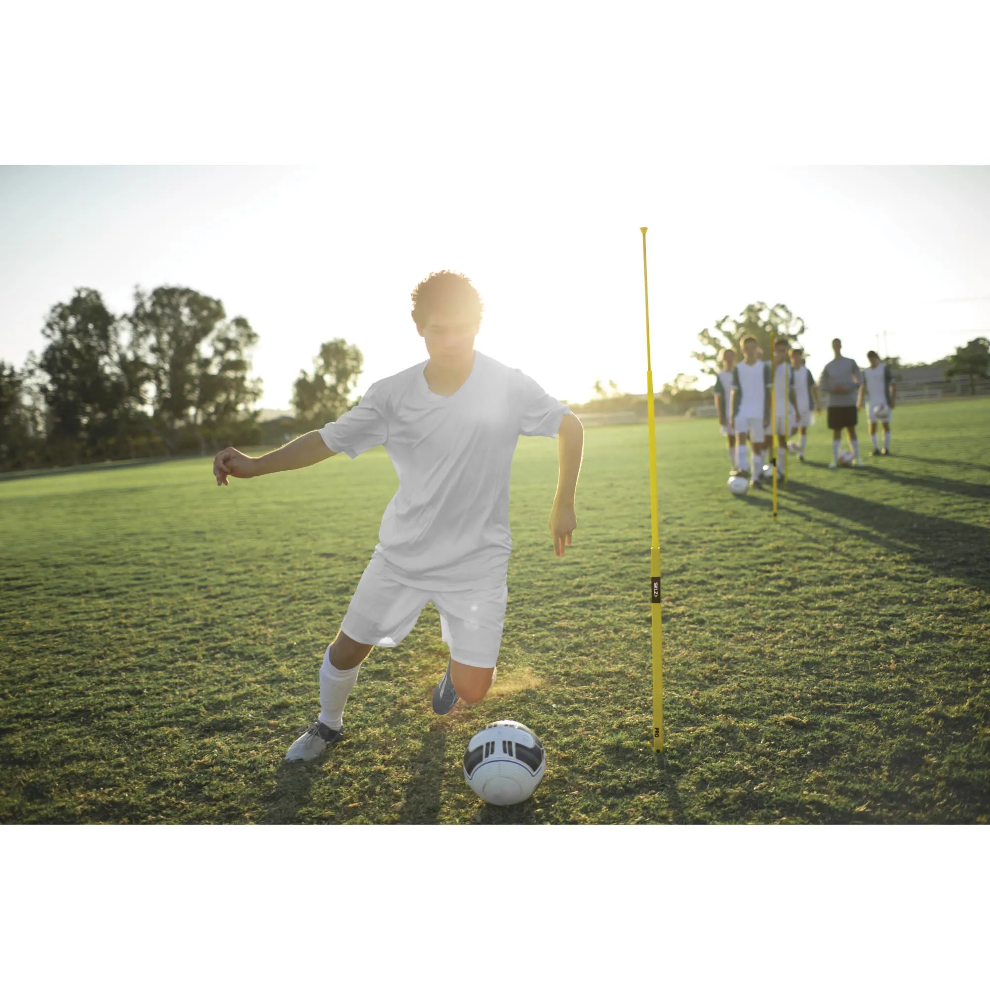 Pro Training Agility Poles