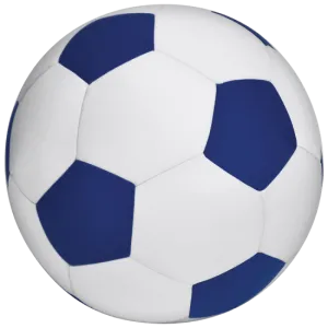 Soccer Ball 3D Microbead Plush